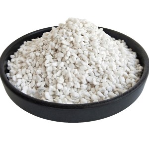Video cận cảnh vỉ cây giống hoa Salem được ươm giá thể Perlite LAFA