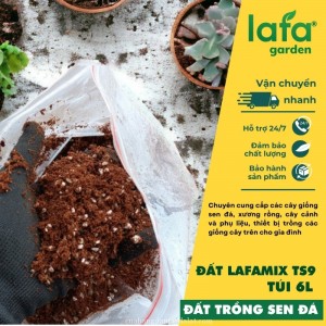 Đất trồng sen đá LAFAMIX-TS9 túi 6L